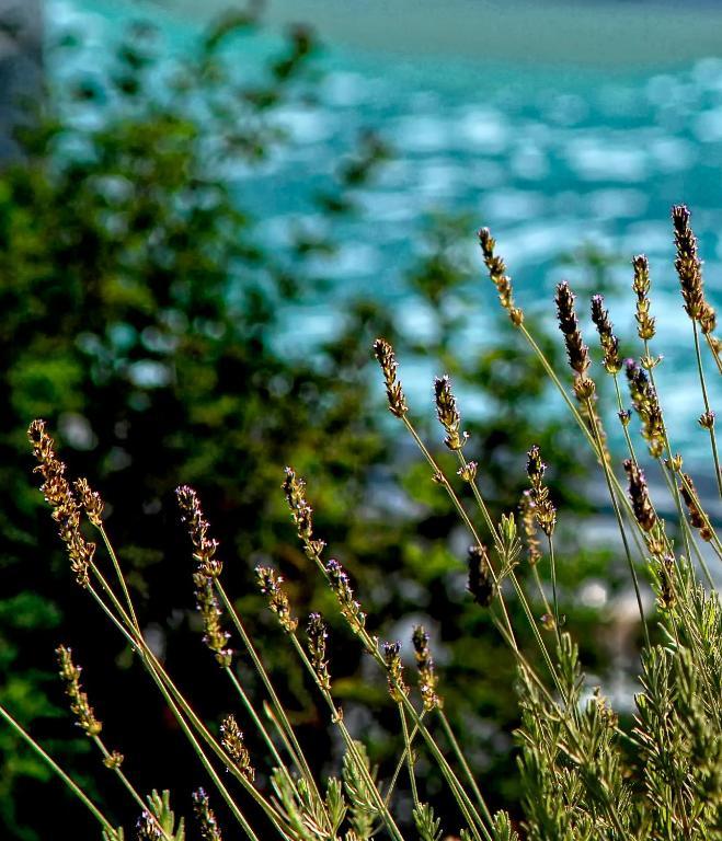 Hotel Olivemare à Katelios Extérieur photo